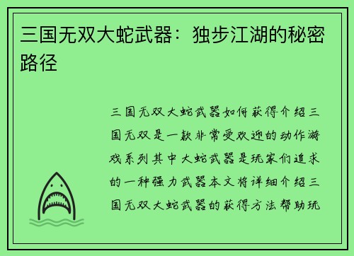 三国无双大蛇武器：独步江湖的秘密路径