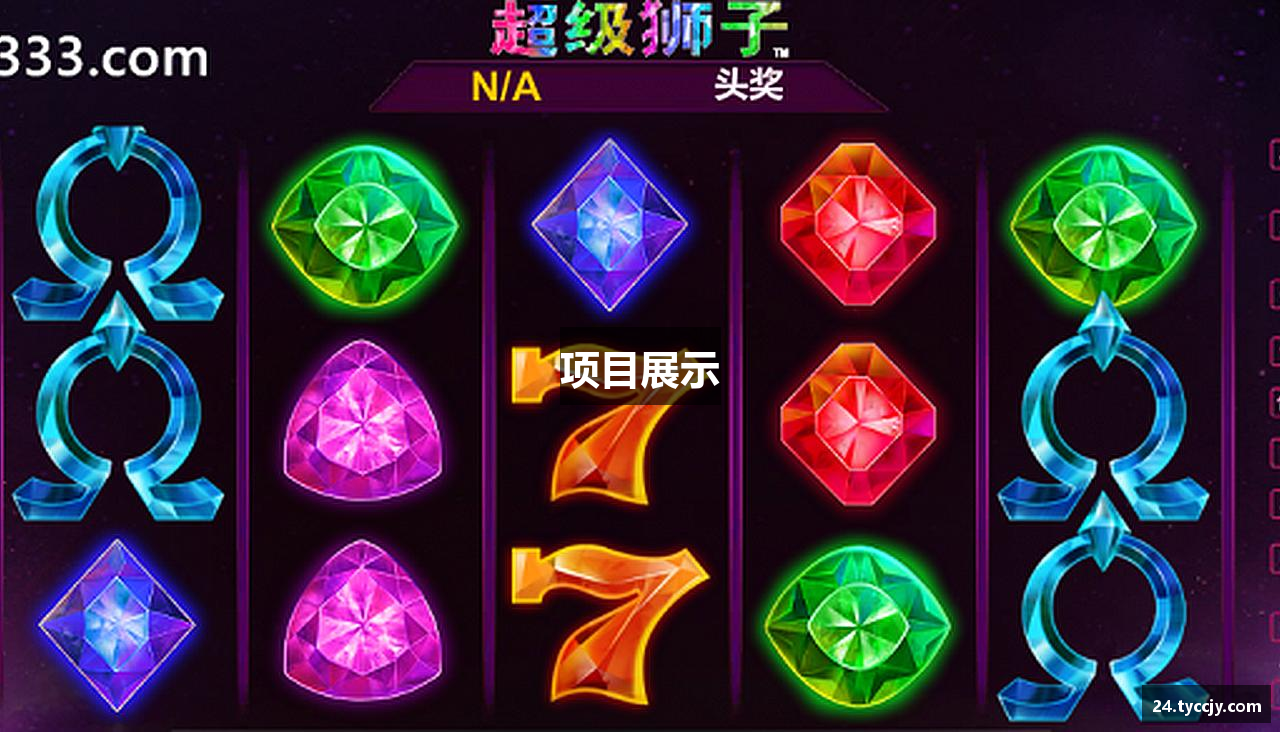 项目展示